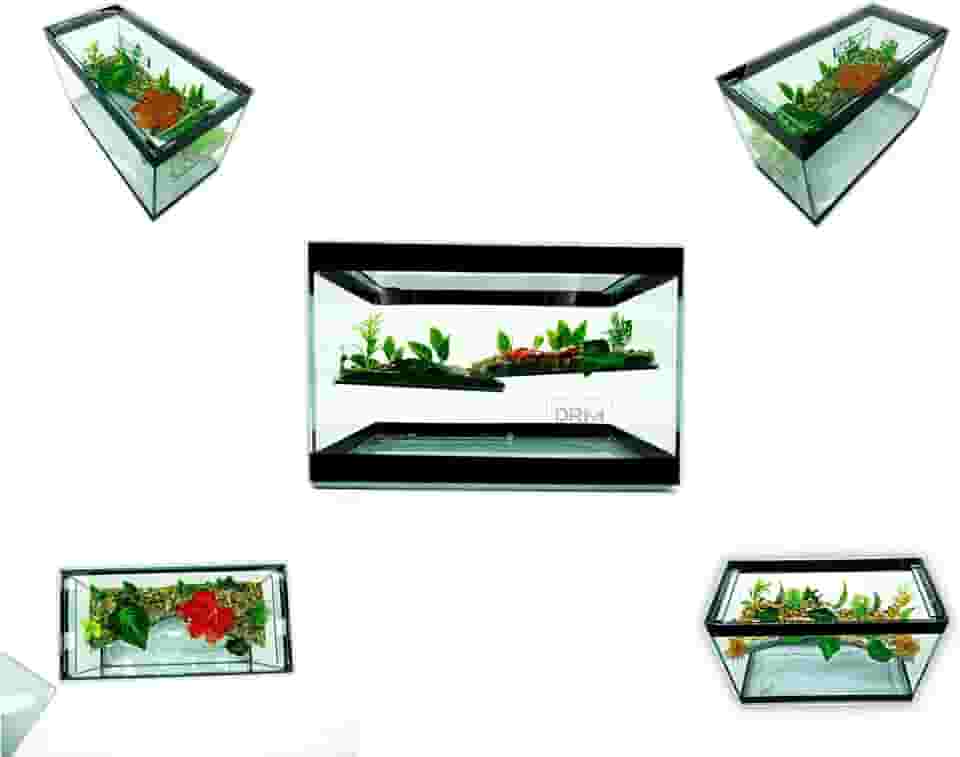 Aquário Terrário N2 Vidro Decorado 25x12x15 Peixe Tartaruga