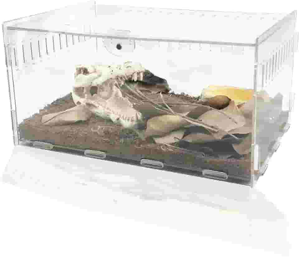 Gaiola Magnética de Acrílico para Répteis, Terrário Transparente 360°, Adequado para Aranhas, Lagartos, Caranguejos Eremitas, Cobras, Insetos