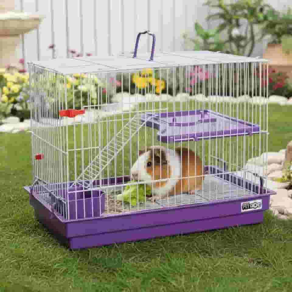 Gaiola para Roedores Pequenos, Coelho, Chinchila, Porquinho da Índia, com Escada e Bandeja Removível, Lilás