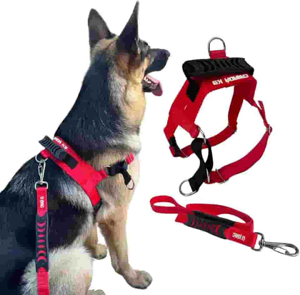 Coleira Peitoral Anti-puxão com Guia para Cães Fortes Tamanho G - Canadá K9 (vermelho)