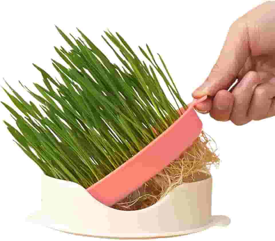 cultivo grama para gatos | cultivo grama gato hidropônico para catnip,Caixa plantio sem solo em forma peixe com bandeja malha para casa, gatil, pet shop, ao ar