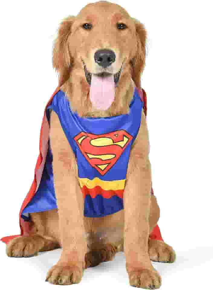 DC Comics Fantasia De Cachorro Super-Herói Super-Homem Halloween - Médio - | Fantasia De Halloween Dc Super-Herói Para Cães Fantasias Engraçadas Para Cães | Fantasia De Halloween Oficialmente Licenciada Dc Dog