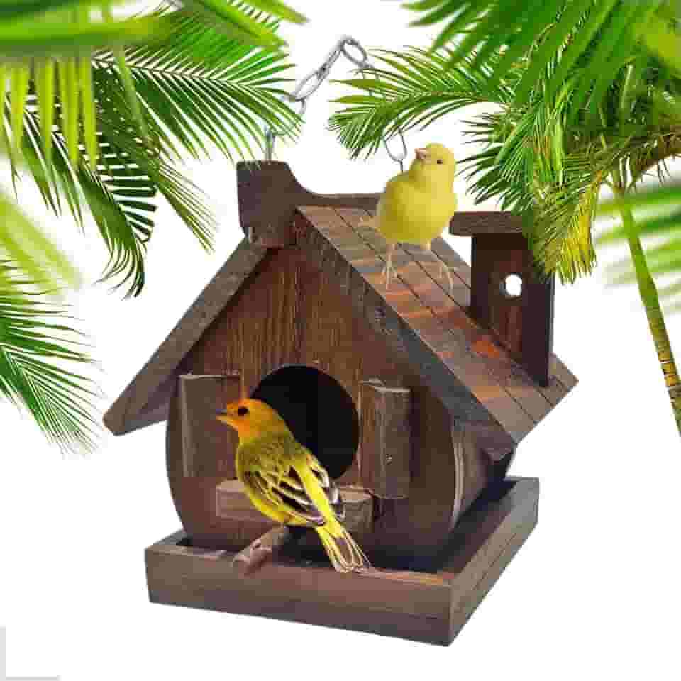 Casinha De Passarinho Livres Silvestres Madeira Tratada Eco
