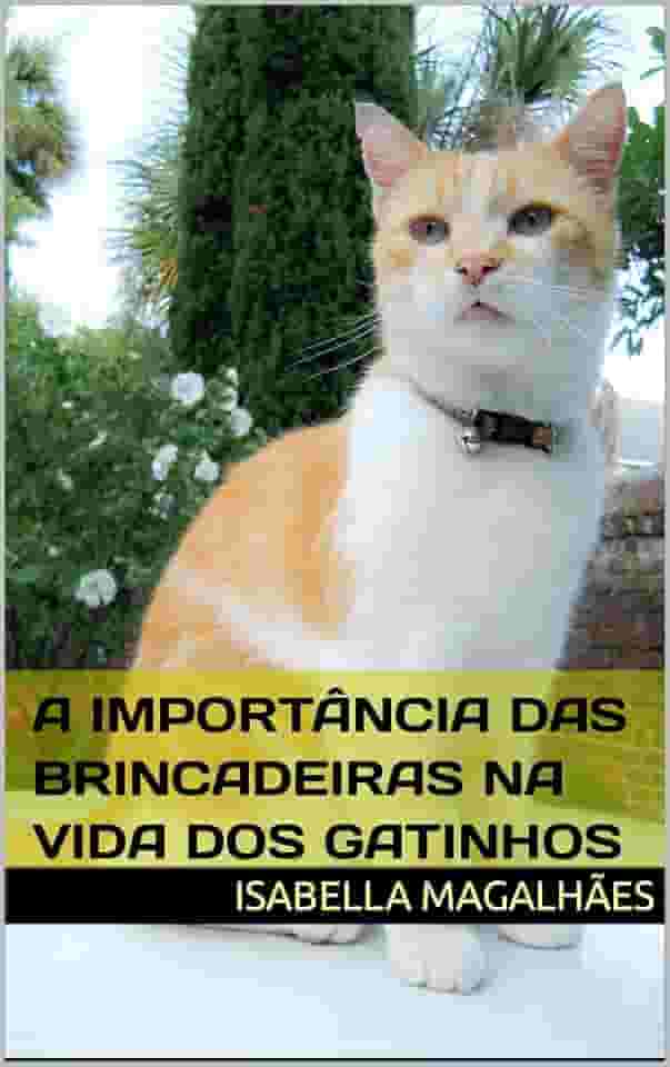 A IMPORTÂNCIA DAS BRINCADEIRAS NA VIDA DOS GATINHOS