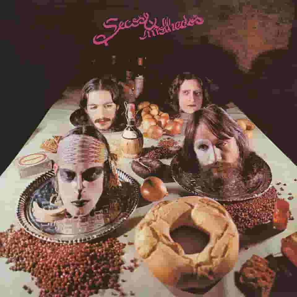 Secos Molhados, LP Secos Molhados - Série Clássicos Em Vinil [Disco de Vinil]