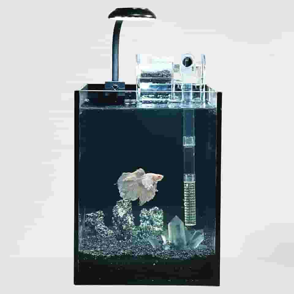 Kit de nano aquário, tanque de vidro pequeno sem aro de 1,5 galão com filtro, luz de aquário e decorações de paisagismo, para casa e escritório (tanque preto - cristal branco, pequeno)