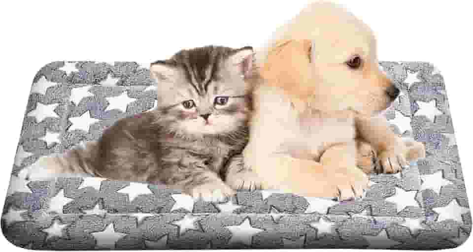 Cama de cachorro lavável ortopédica para uso ao ar livre com fundo antiderrapante, almofada macia de luxo para animais de estimação, almofada aconchegante para gaiola e colchão de dormir para