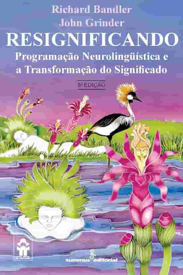 Resignificando: programação neurolingüística e a transformação do significado: 27