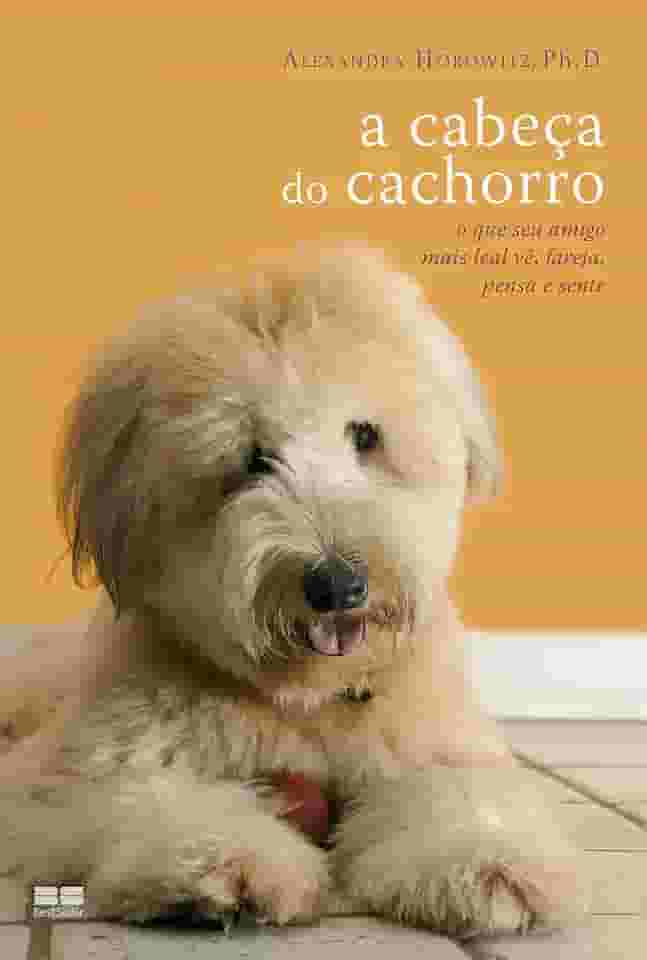 A cabeça do cachorro