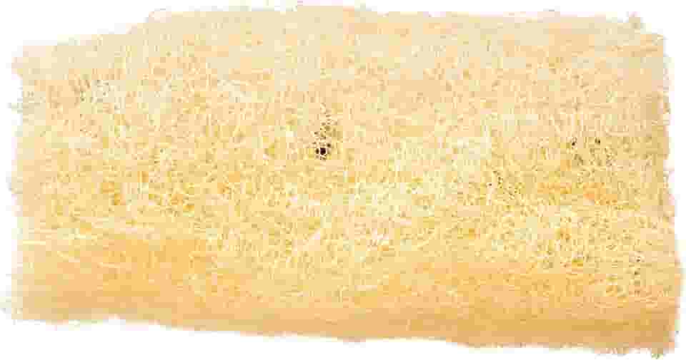 Bonitta Bucha Vegetal 625Bt 1 Unidade