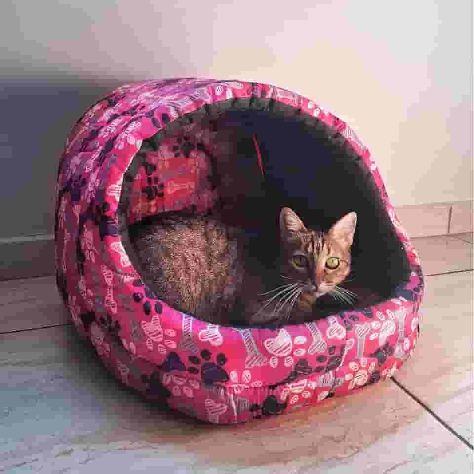 Cama Gato Ninho Toca Iglu Esconderijo Caminha Pet - Lillos Pet (Rosa)