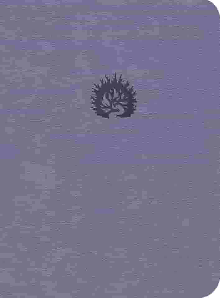 A Bíblia de Estudo da Fé Reformada: Capa Luxo Lavanda e Estojo