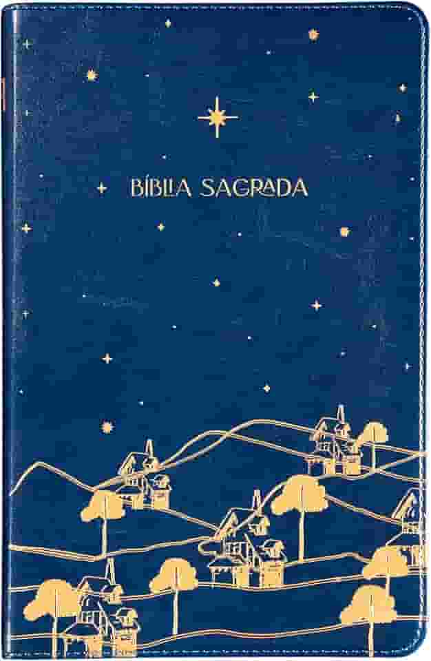 The Purpose Book: Bíblia Sagrada, A21, Capa Couro-soft azul, Reino