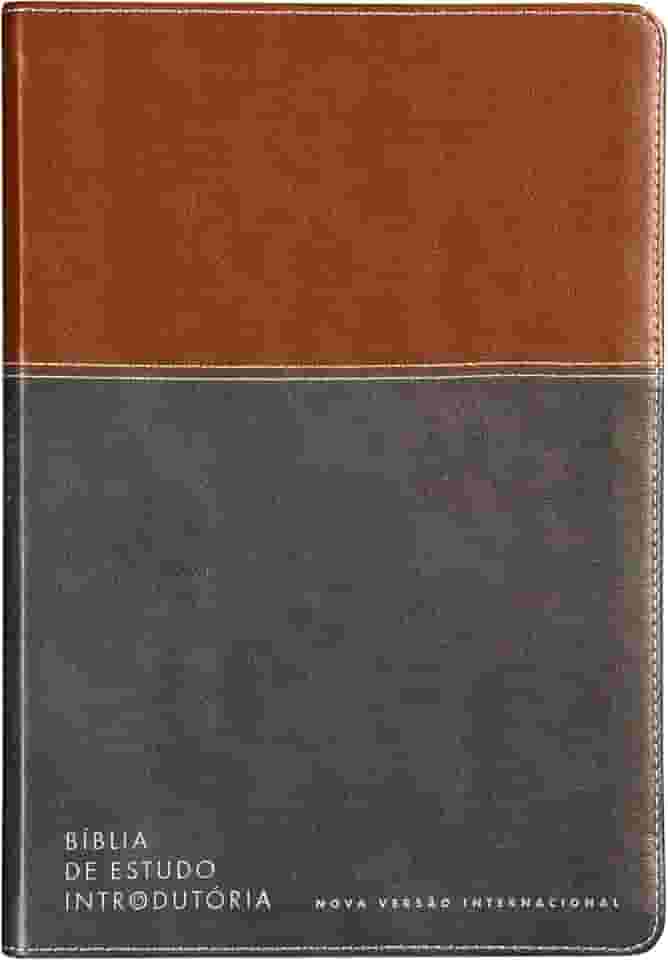 Bíblia de estudo introdutória, NVI, Couro-soft marrom e cinza chumbo, Leitura Perfeita
