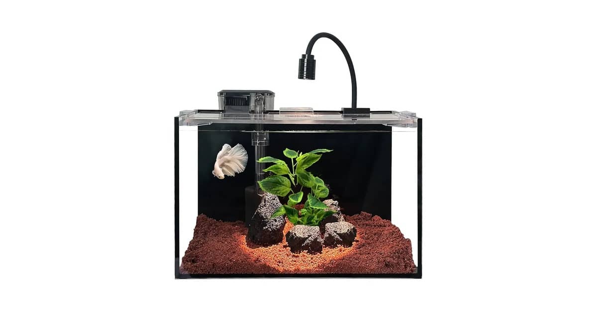 Melhor Aquário para iniciantes: 7 Kits Completos e Compactos