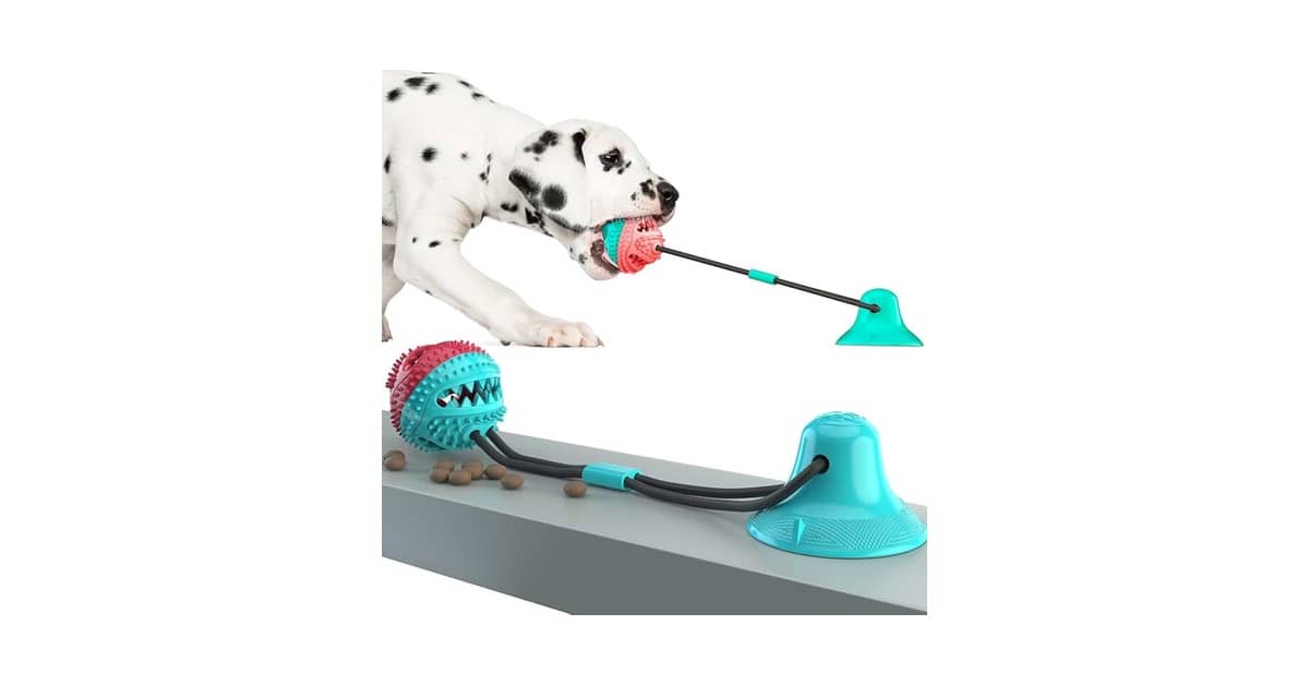 Melhor Brinquedo para Border Collie: Diversão e Treino!