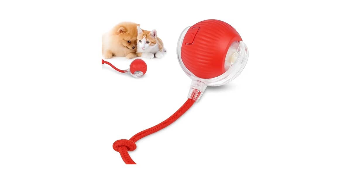 Melhor Brinquedo para Cachorro: Guia Definitivo Para Escolher!