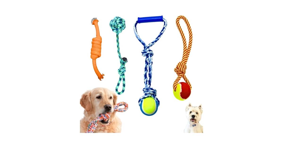 Melhor Brinquedo para Filhote Morder: 10 Opções Resistentes