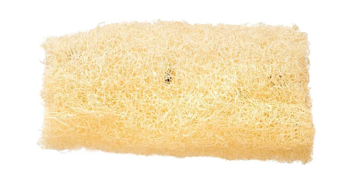 Melhor Bucha para Tomar Banho: Guia Essencial Para Sua Pele