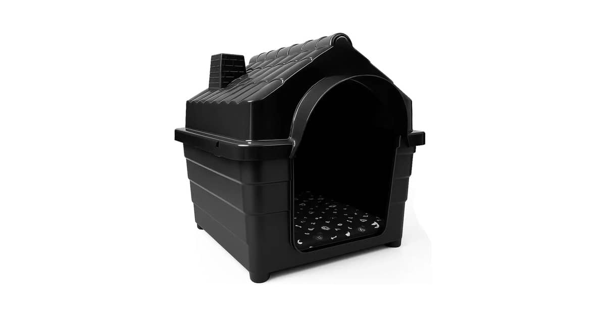 Melhor Cachorro para ter em Casa: Guia Completo de Abrigos e Conforto