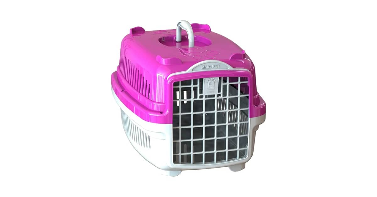 Melhor Caixa de Transporte para Gatos: Guia Essencial