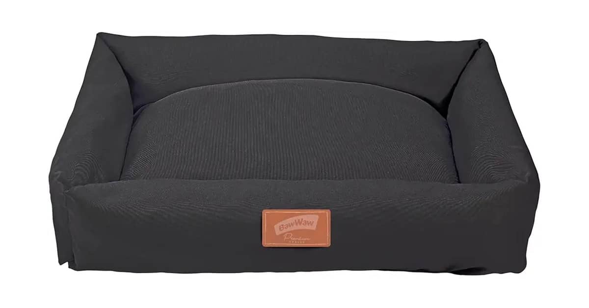 Melhor Cama para Cachorro: 10 Modelos para Conforto
