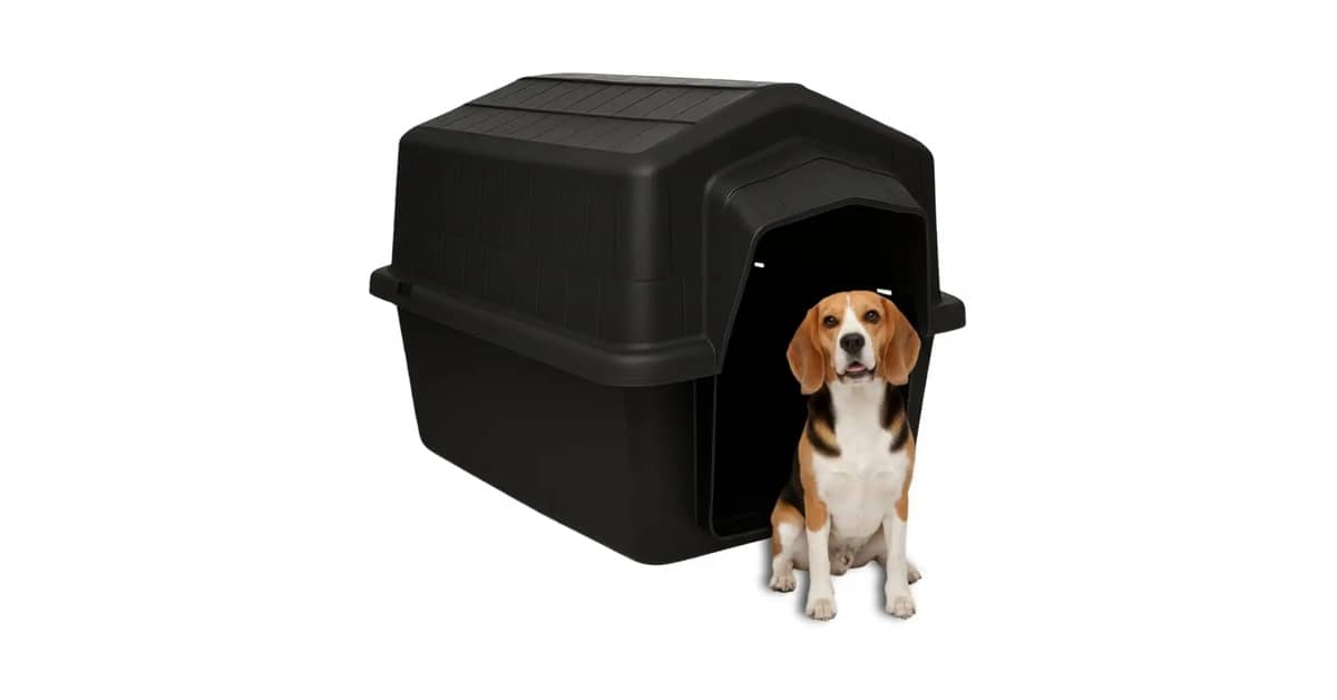 Melhor Casa de Cachorro: Proteção UV e Durabilidade