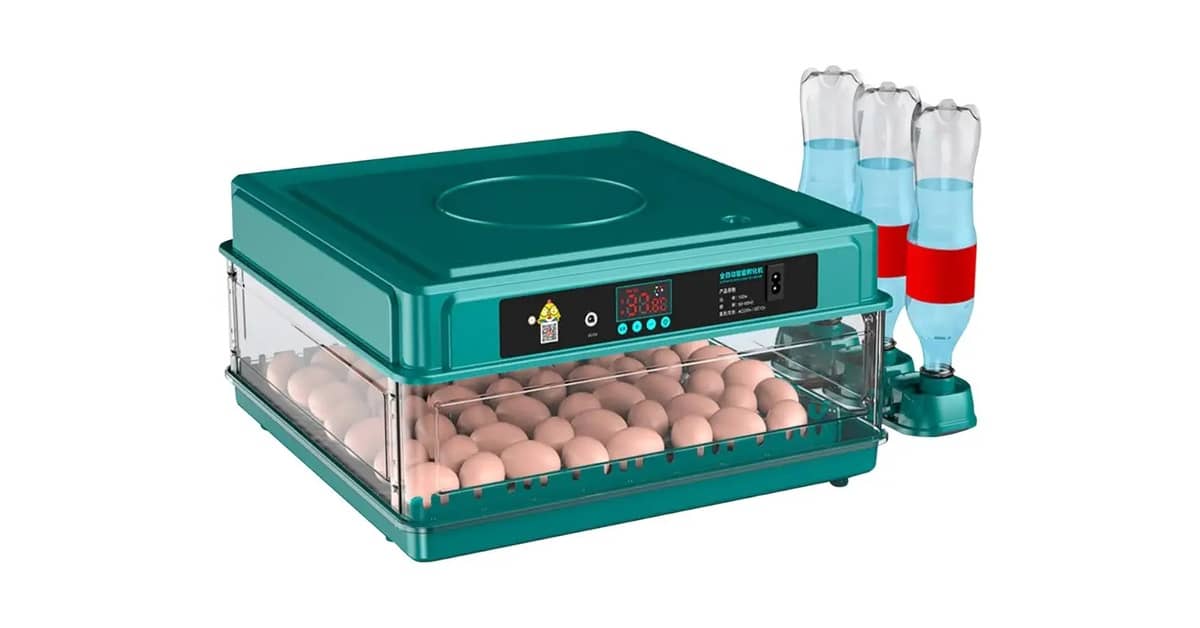 Melhor Chocadeira do Brasil: 5 Modelos Para Incubação Perfeita