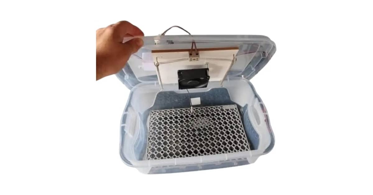 Melhor Chocadeira para Comprar: 5 Modelos Automáticos