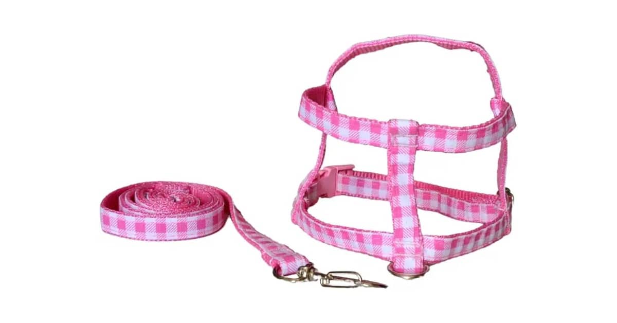 Melhor Coleira para Cachorro Filhote: Guia Essencial