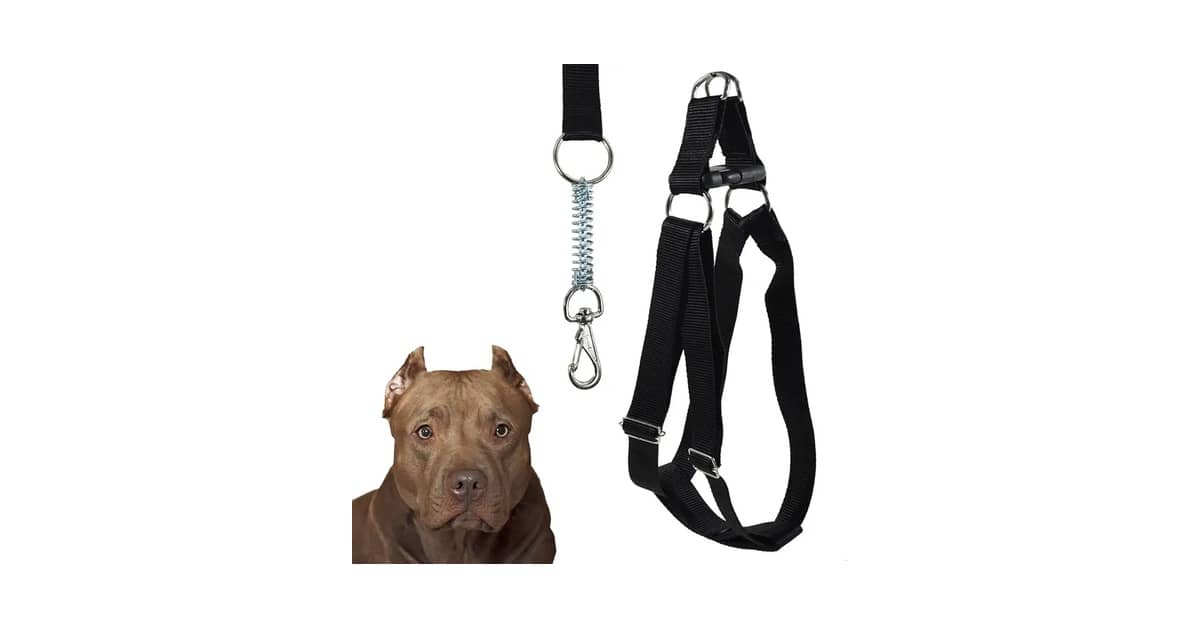 Melhor Coleira para Cachorro Grande: Conforto e Segurança Garantidos!