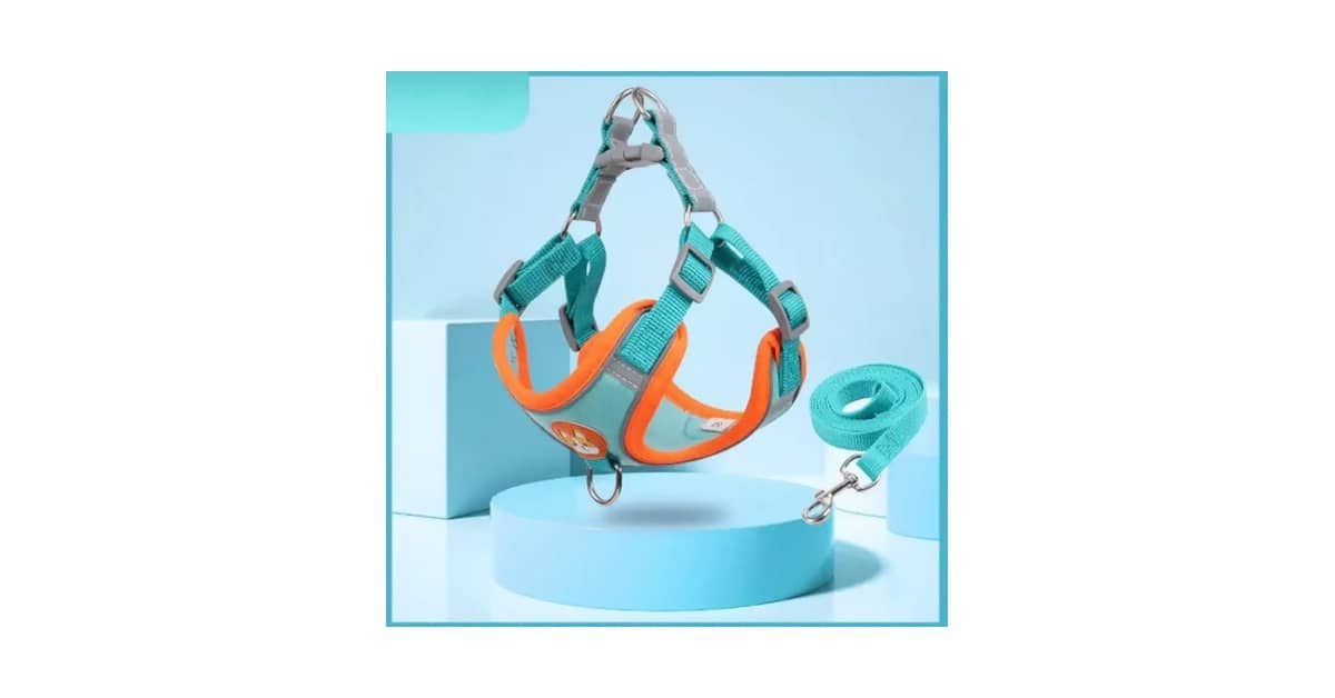 Melhor Coleira para Cachorro Pequeno: Conforto e Segurança