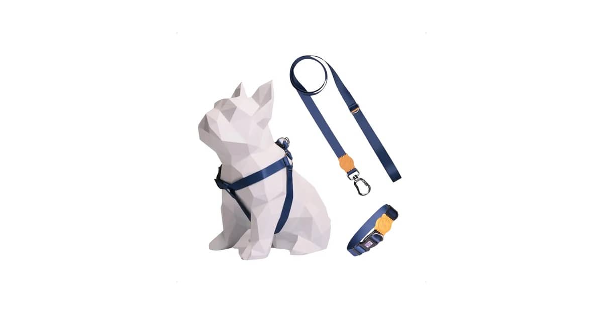 Melhor Coleira para Cachorro Salsicha: Conforto e Segurança