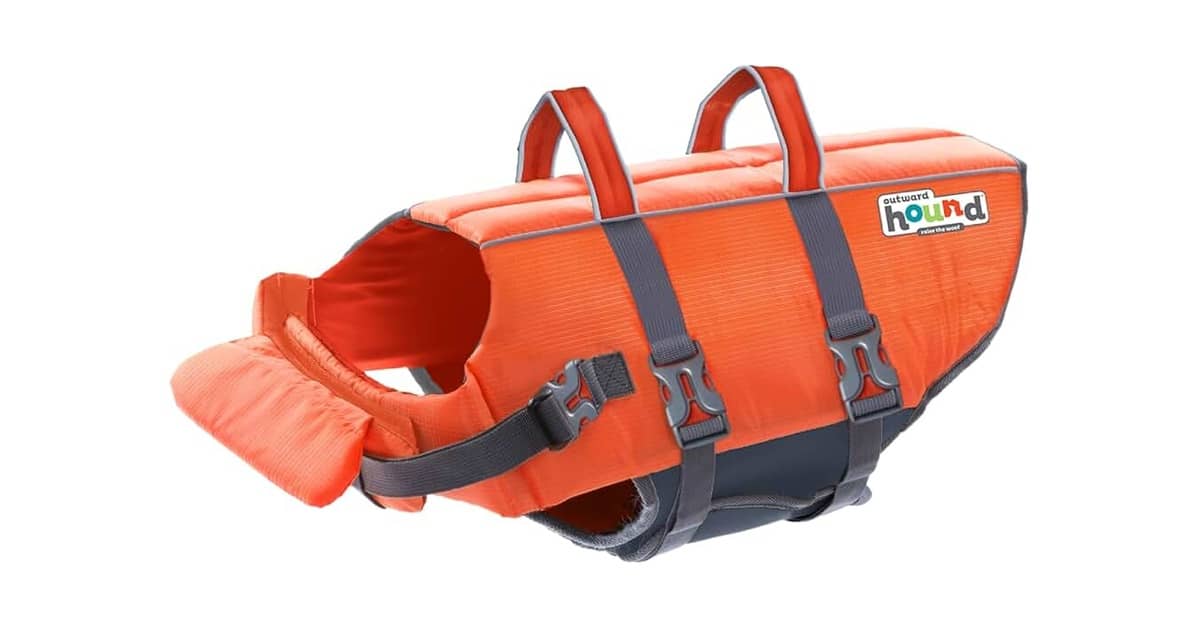 Melhor Colete Salva Vidas Cachorro: Segurança e Estilo na Água!