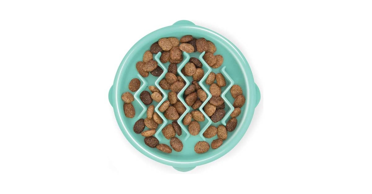 Melhor Comedouro Lento: Guia Essencial para Cães e Gatos