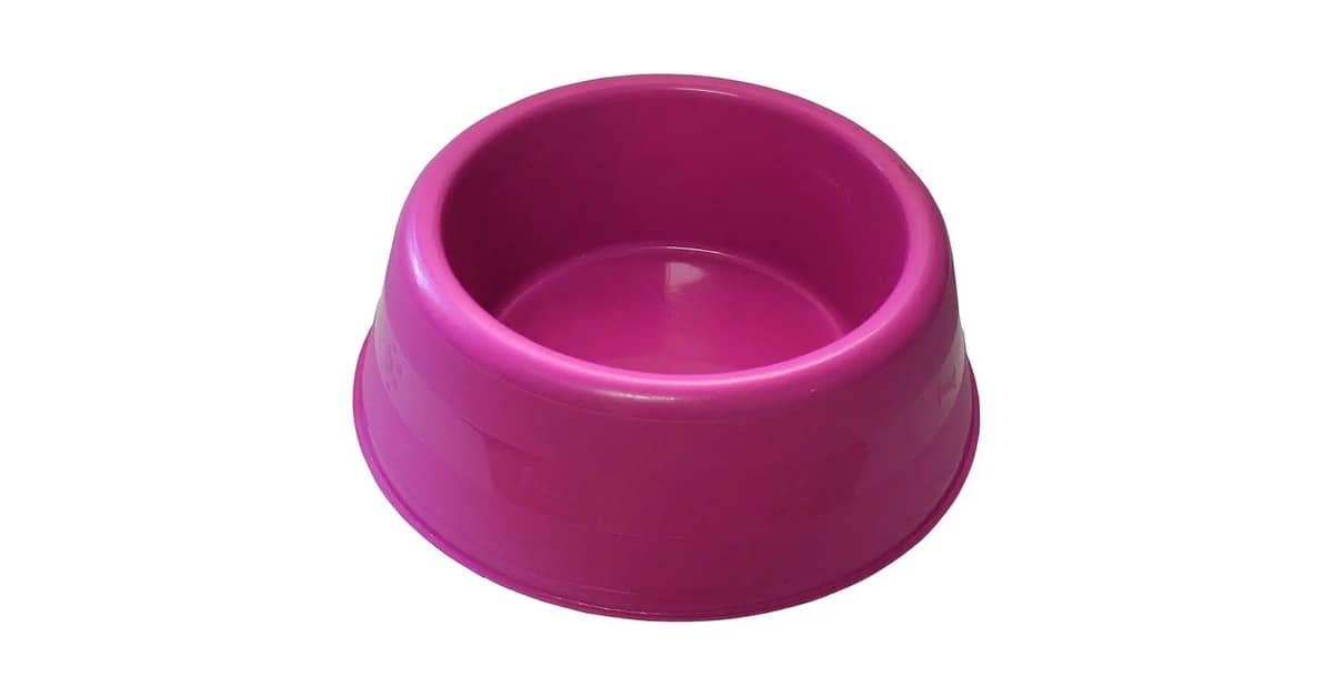 Melhor Comedouro para Pug: Guia Essencial Pós-Análise