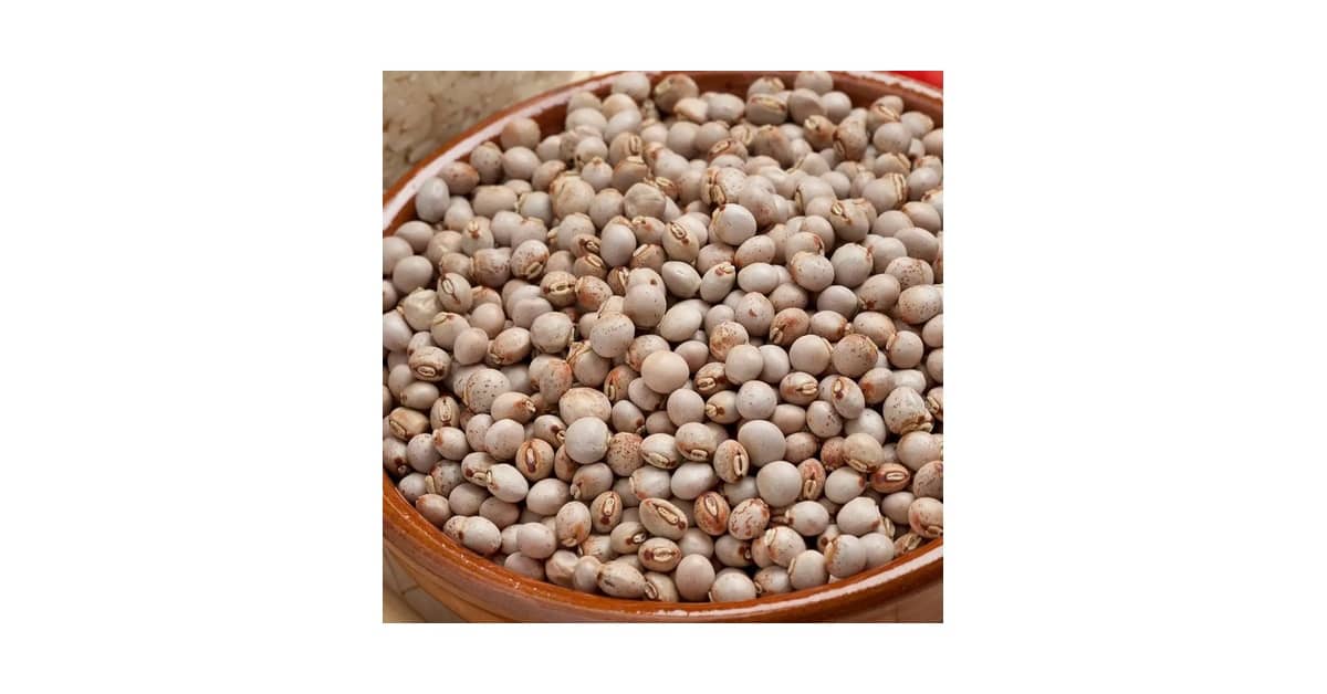 Melhor Feijão do Mundo: Guia Definitivo Para Sua Cozinha