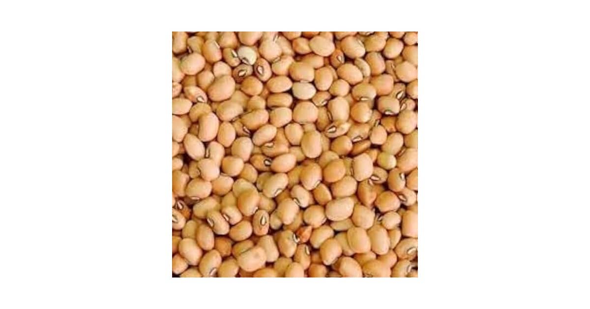 Melhor Feijão Tropeiro: Guia Essencial para o Prato Perfeito