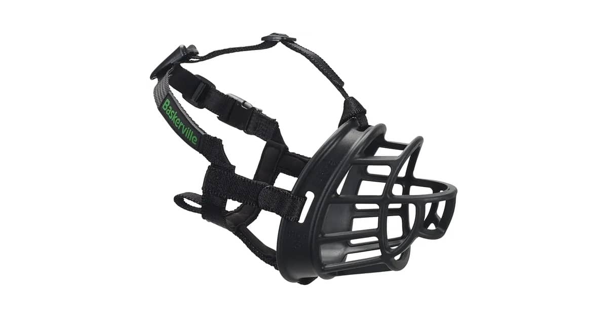 Melhor Focinheira para American Bully: Segurança e Conforto Essenciais