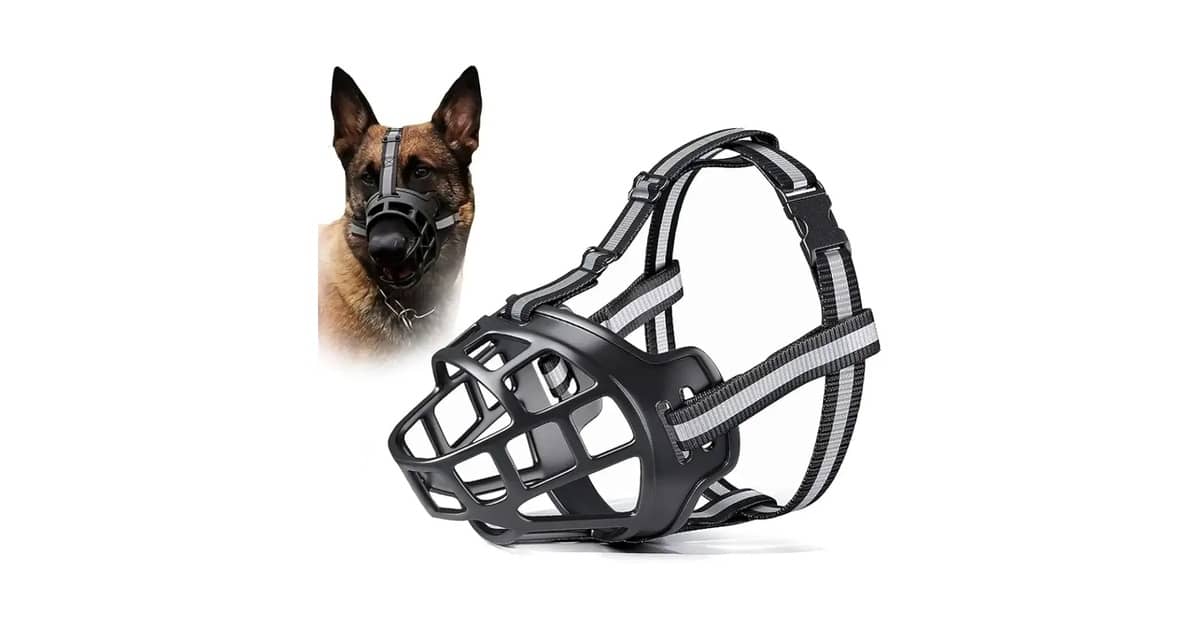 Melhor Focinheira para Cachorro Grande: Segurança e Conforto Essenciais!