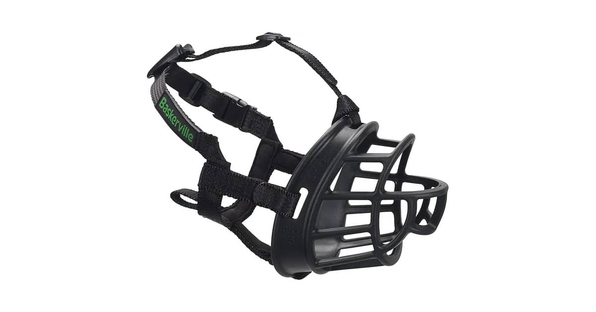 Melhor Focinheira para Rottweiler: Guia de Segurança e Conforto