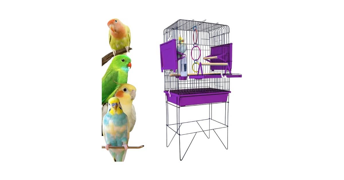 Melhor Gaiola: 8 Opções Resistentes e Seguras para Aves