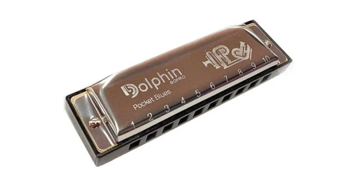 Melhor Gaita Custo Benefício: 7 Opções Essenciais