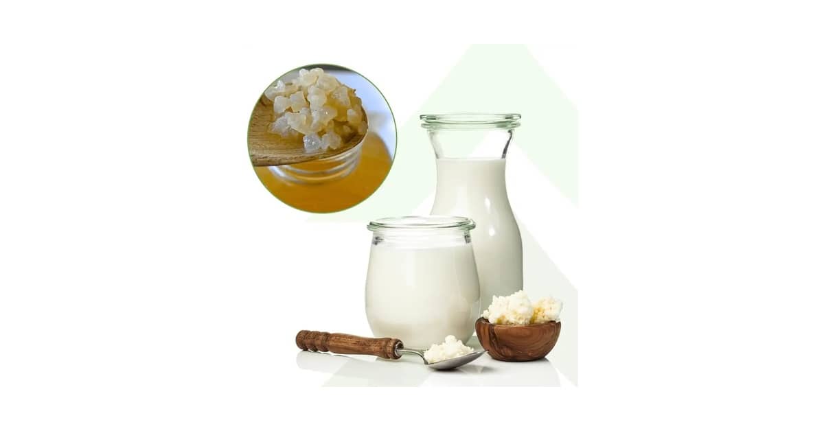 Melhor Marca de Leite Fermentado: Guia Completo para Escolher