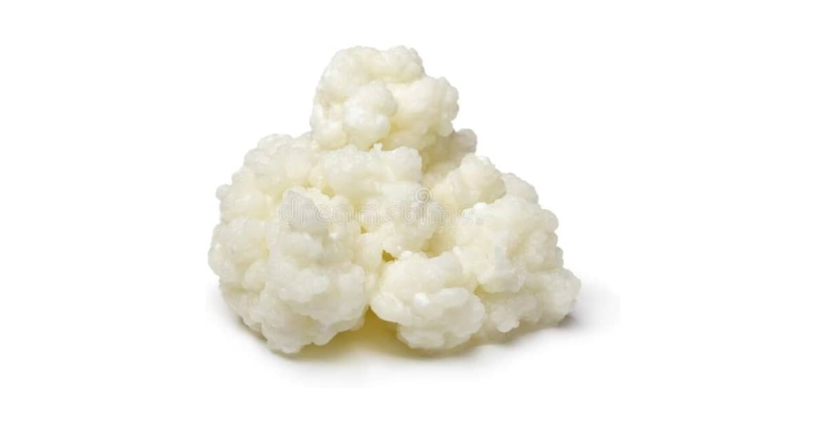 Melhor Marca de Leite para Kefir: Guia Essencial para Iniciantes
