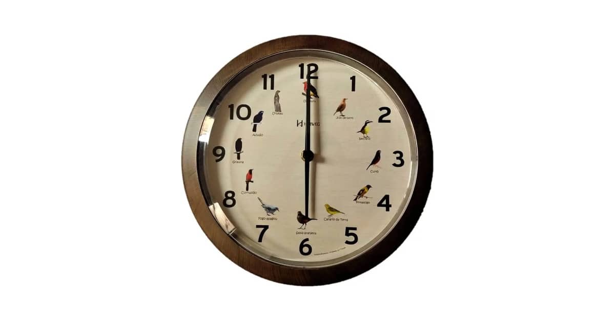 Melhor Marca de Relógio Brasileiro: Seleção 2024