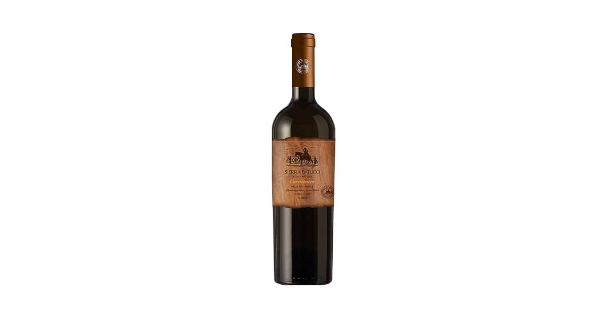 Melhor Marca de Vinho Tinto Seco: Guia Essencial