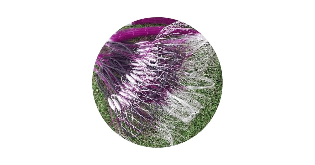 Melhor Massa para Pescar Tambaqui: Guia Essencial!