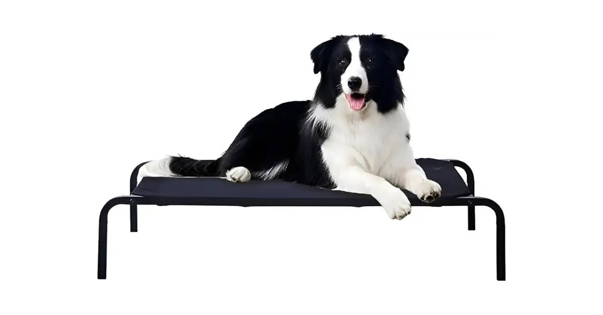 Melhor Material para Cama de Cachorro: Guia Completo