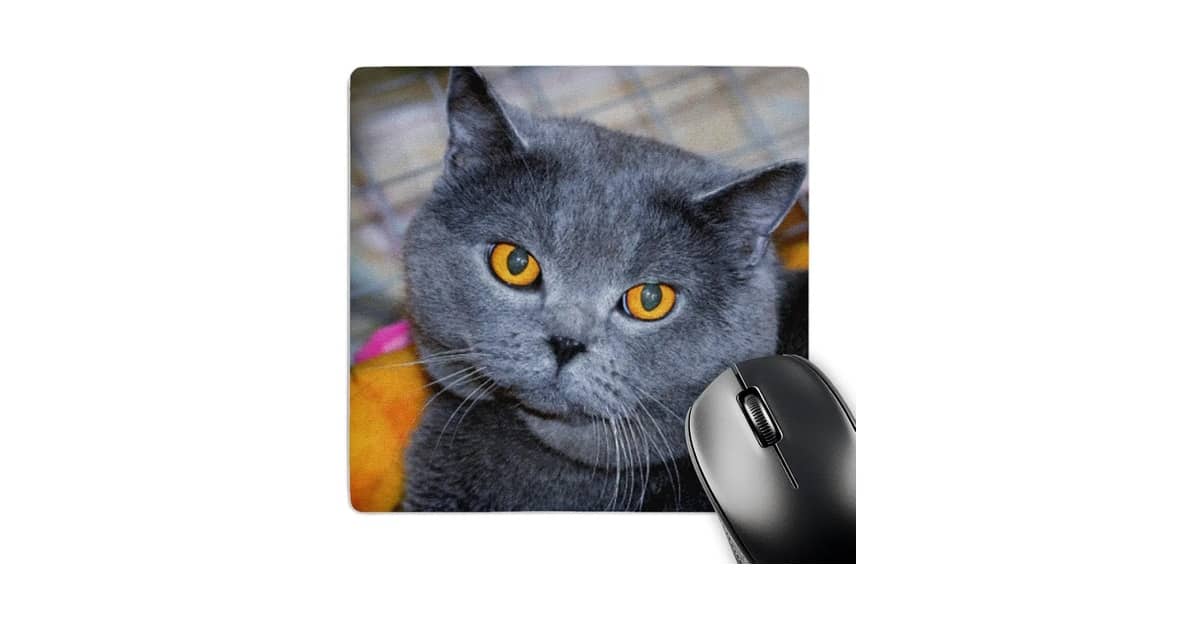 Melhor Mousse para Cabelo Curto: Qual Fixação Ideal?